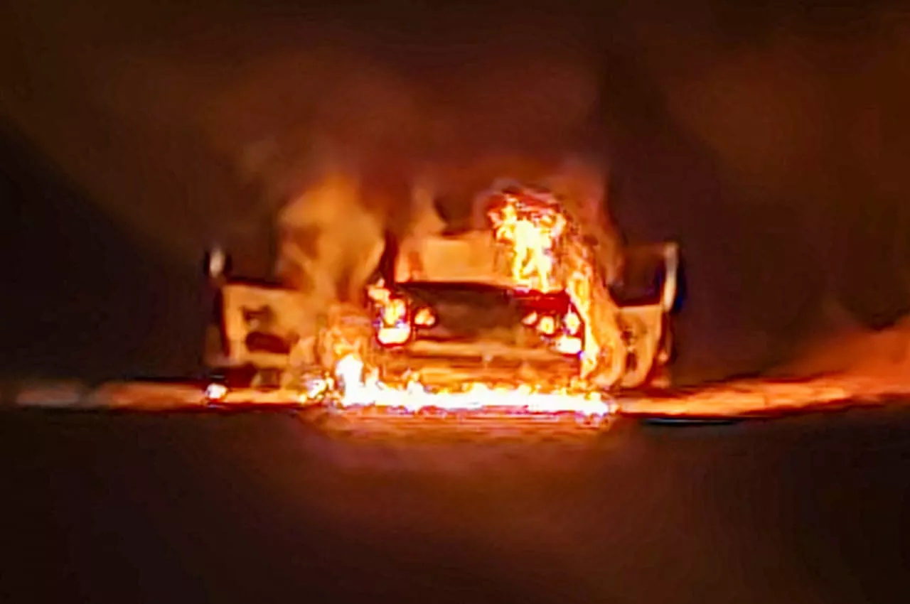 WhatsApp Image 2022-08-17 at 10.58.47 PM