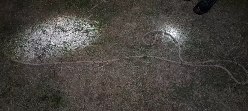 Imagen de WhatsApp 2023-01-17 a las 20.45.26