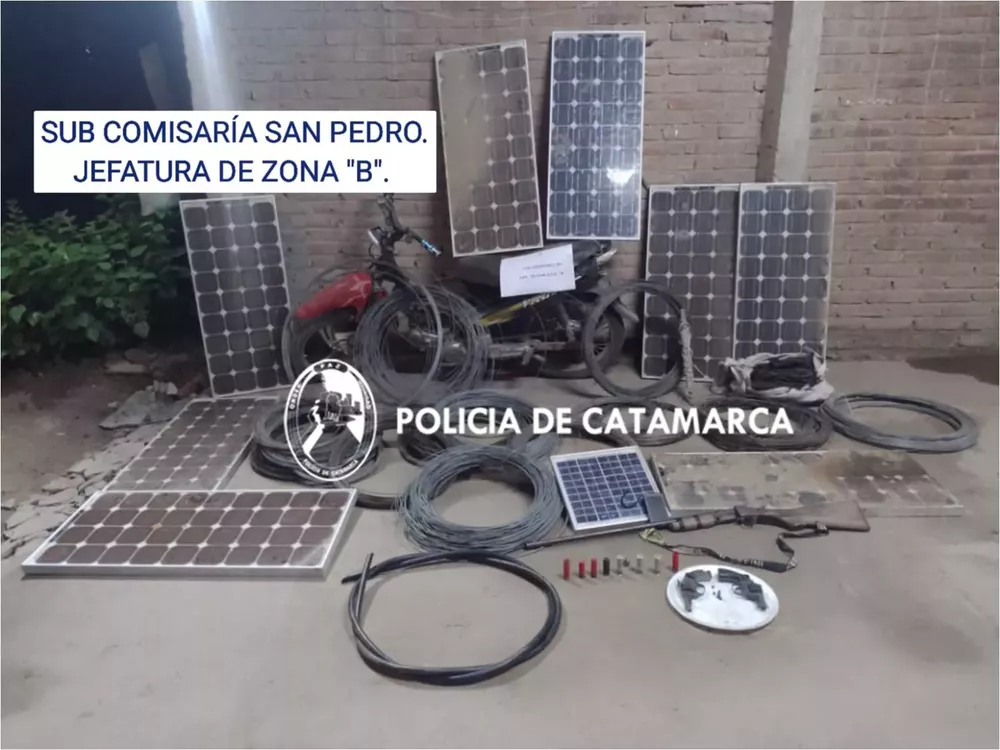 Cria San pedro-Dpto Santa Rosa