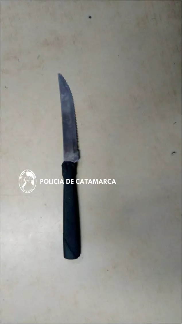 Cria. 8 (1)