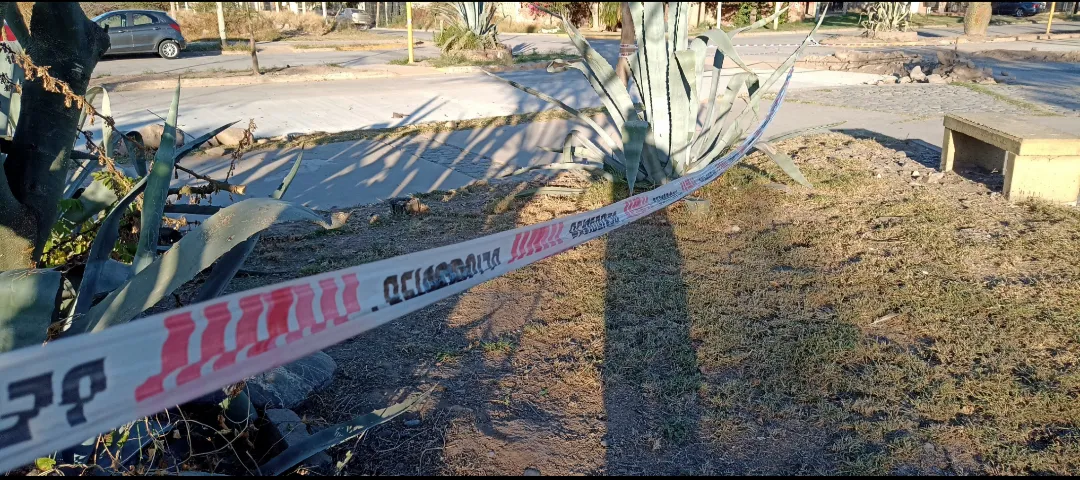 Screenshot_20230610-103001