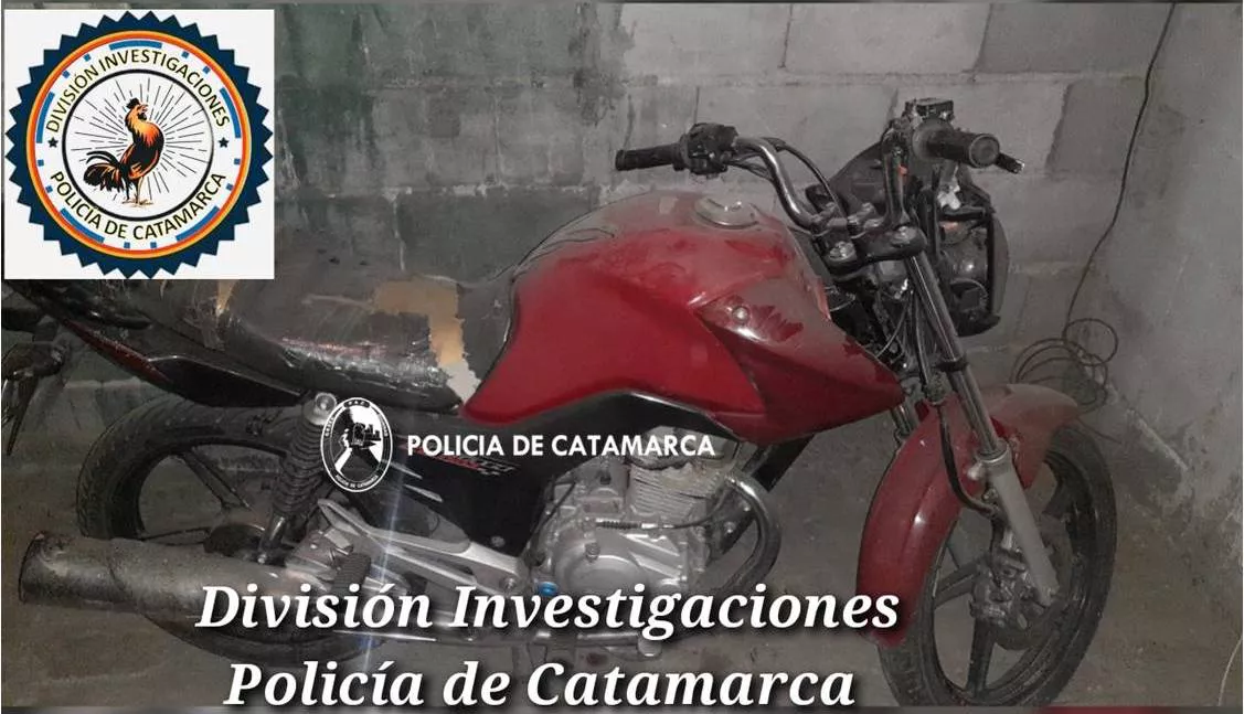 Investigaciones (4)