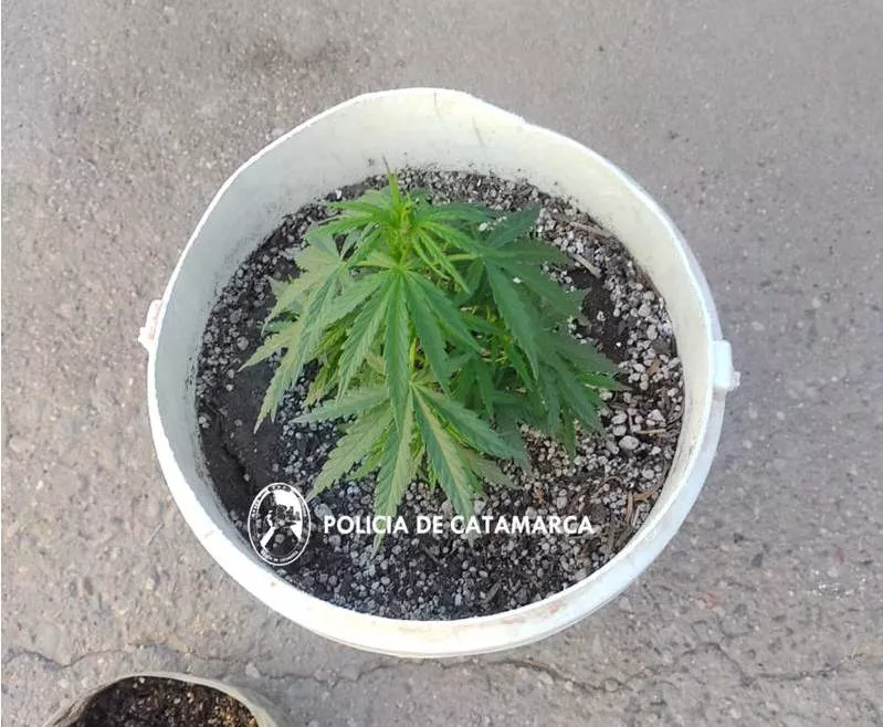 Secuestro droga 3