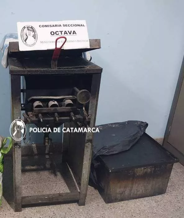 Cria 8va