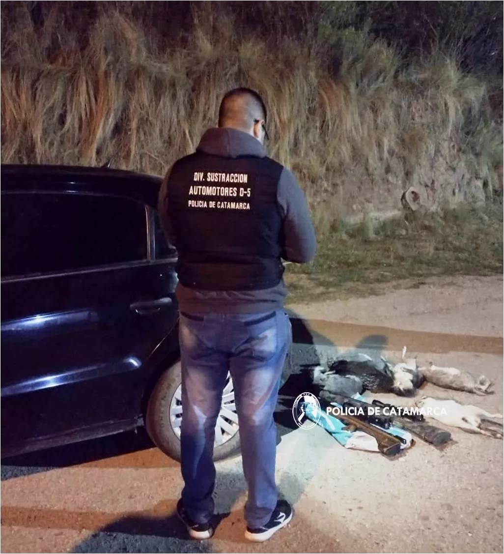 Proc. Automotores y Abigeato