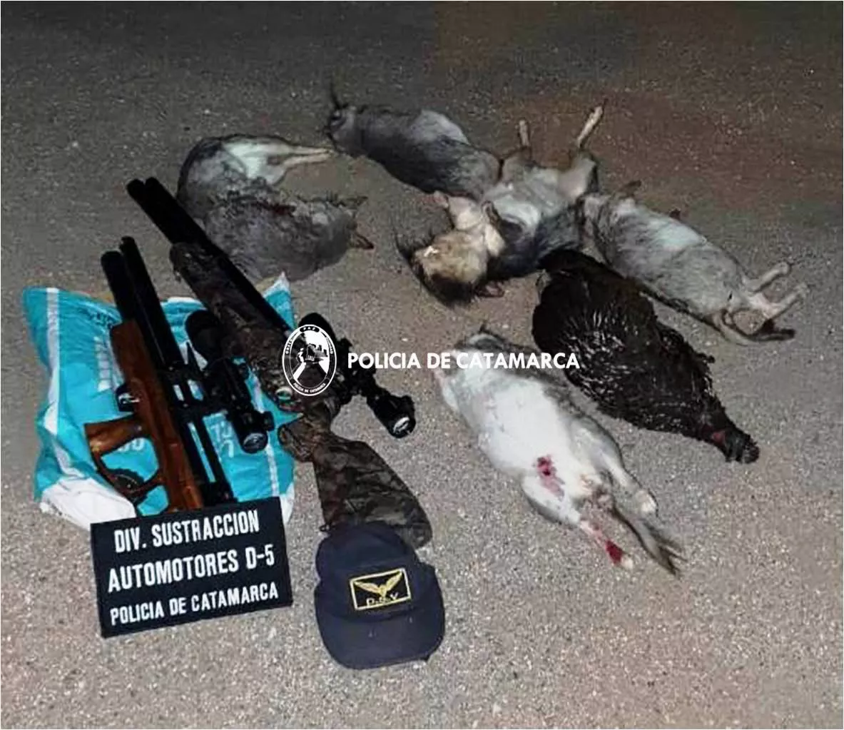 Proc. Automotores y Abigeato 1