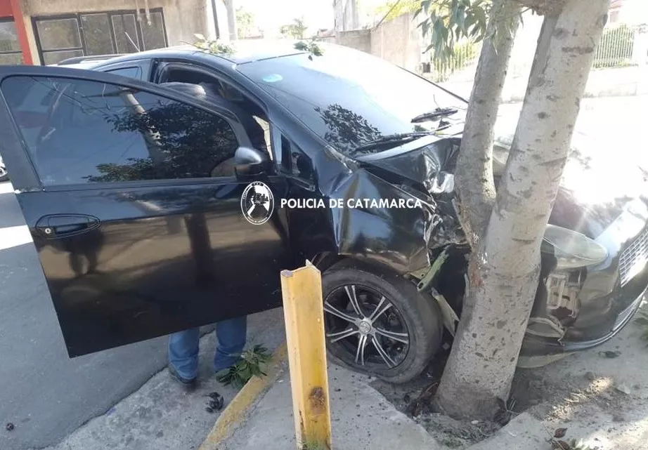Siniestro Cria Tercera