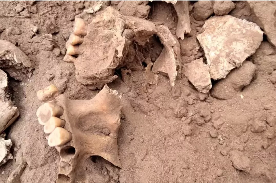 Screenshot_20220331-065027_Chrome