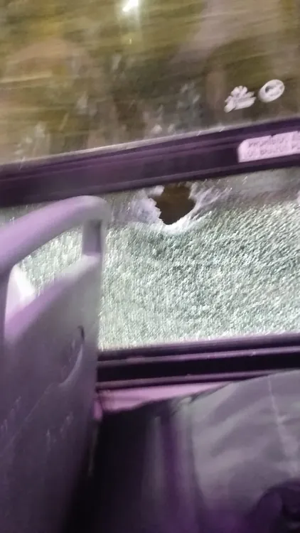 Imagen de WhatsApp 2023-10-30 a las 23.38.13_f4ec9ca0