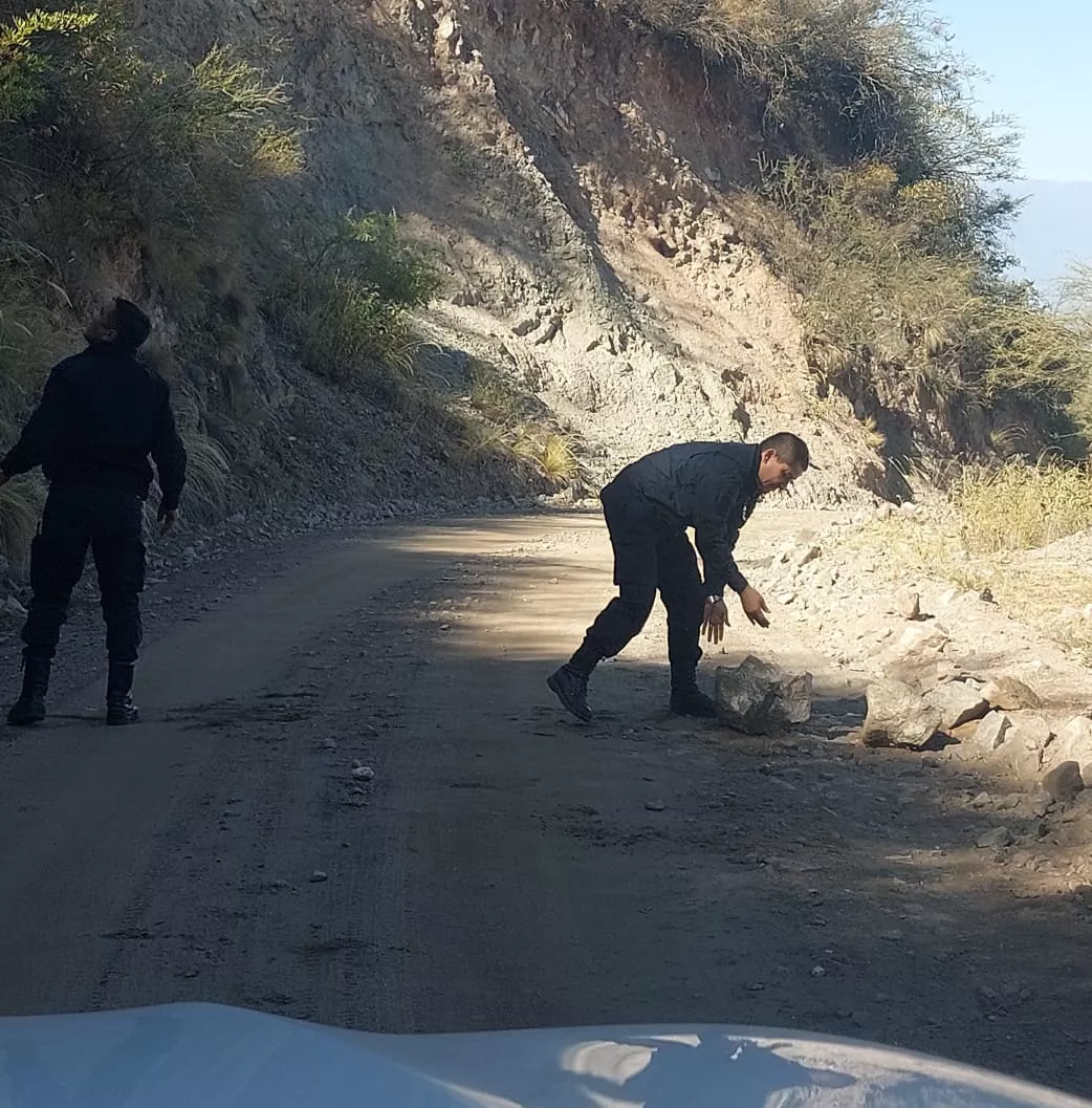 WhatsApp Image 2022-05-20 at 1.04.50 PM