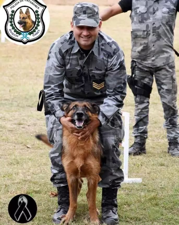 FB_IMG_1651061453916