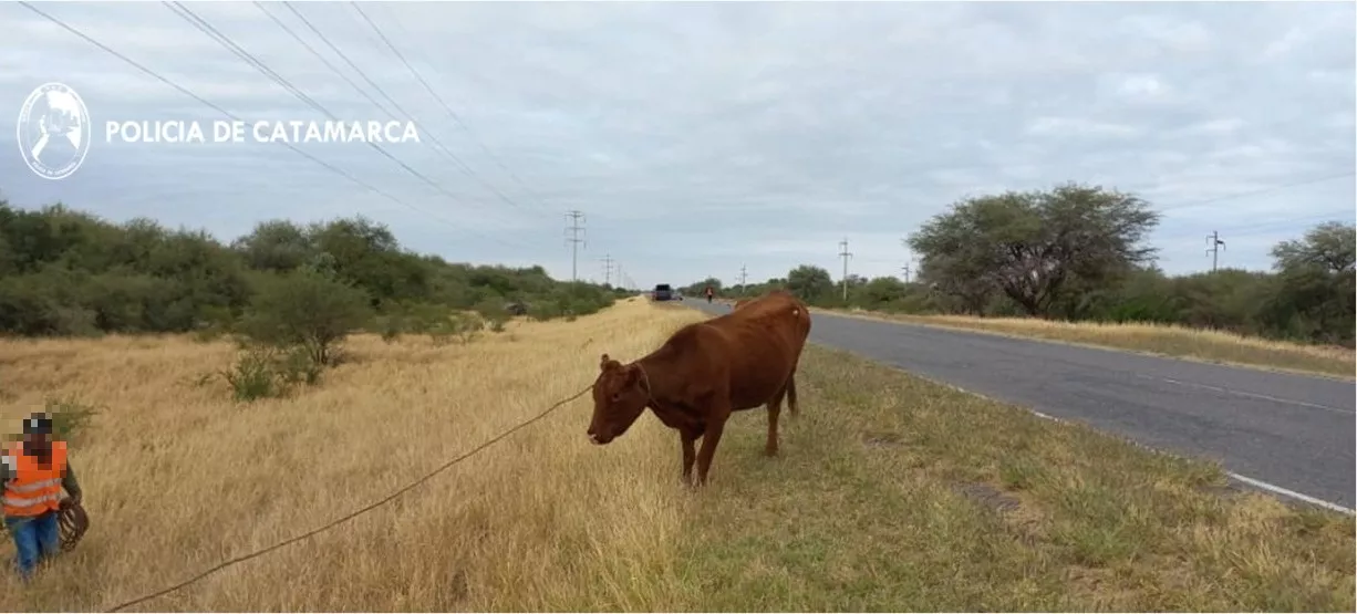 WhatsApp Image 2022-05-14 at 12.03.19 PM