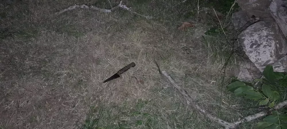 Imagen de WhatsApp 2023-01-17 a las 20.45.261