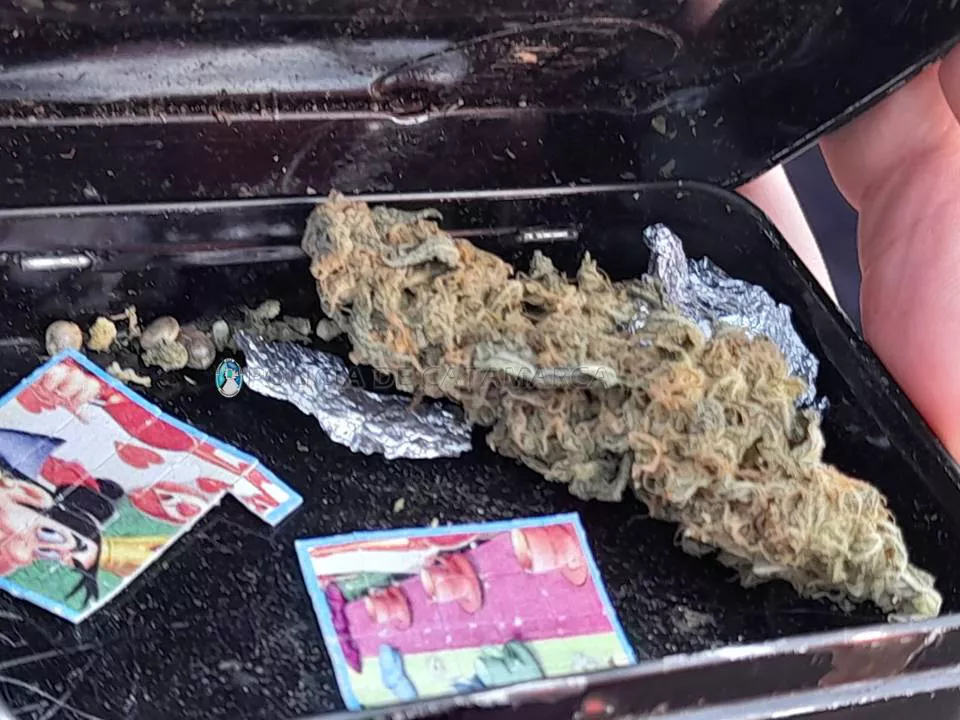 secuestro Dirección Drogas Peligrosas