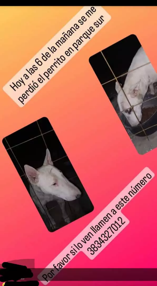 Imagen de WhatsApp 2022-11-21 a las 12.29.23