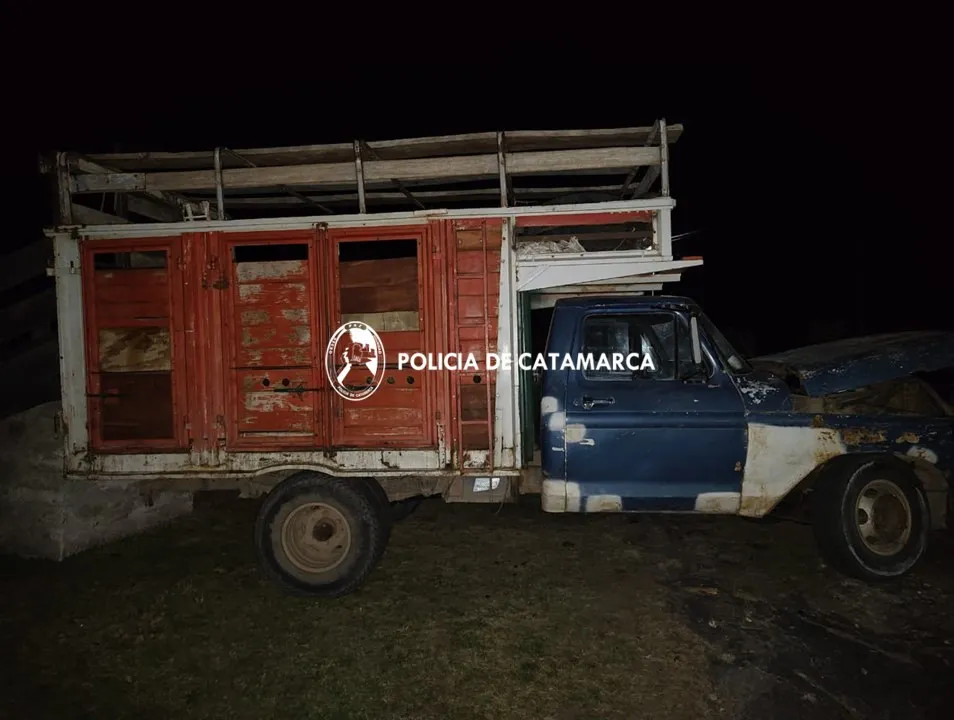 ancasti animales (3)