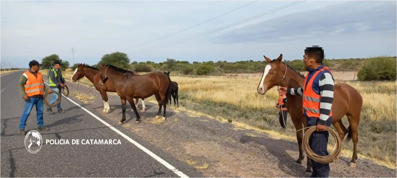 WhatsApp Image 2022-05-14 at 12.03.21 PM (2)