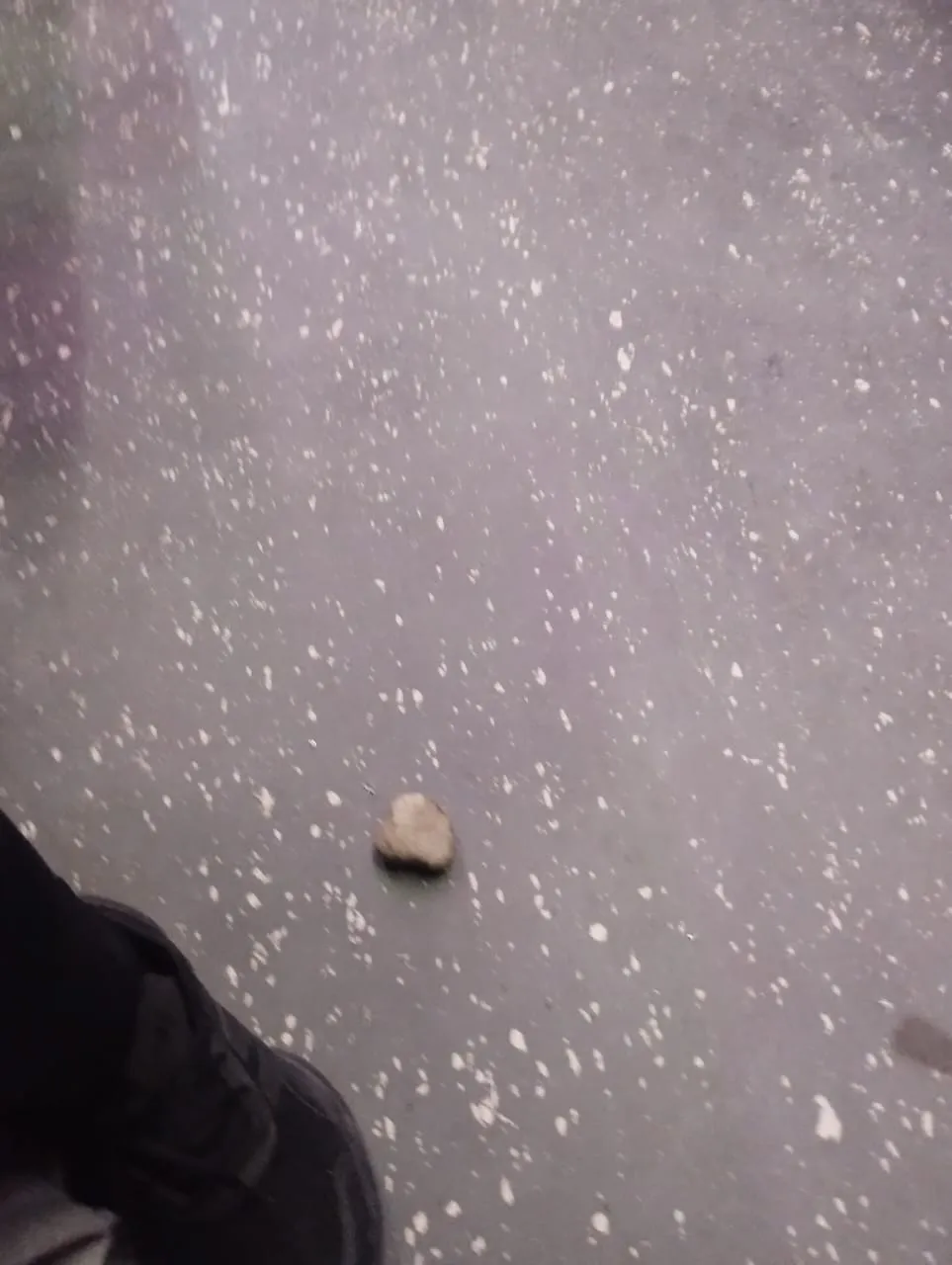 Imagen de WhatsApp 2023-10-30 a las 23.38.14_cb8faa11