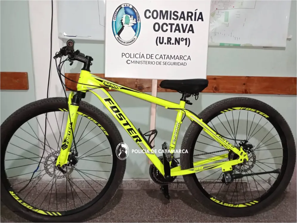 Procedimiento Cria. 8va (1)