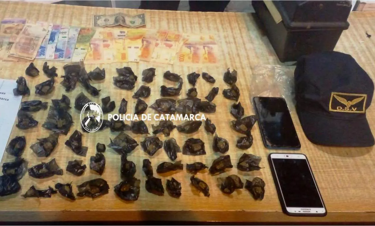 Proc. Droga y Seguridad Vial