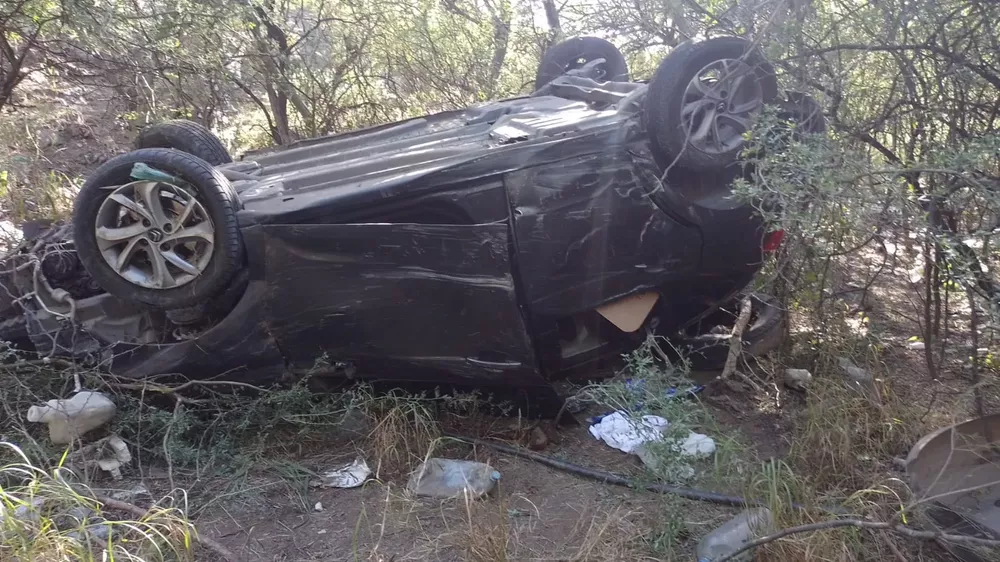 WhatsApp Image 2022-04-15 at 10.24.19 AM