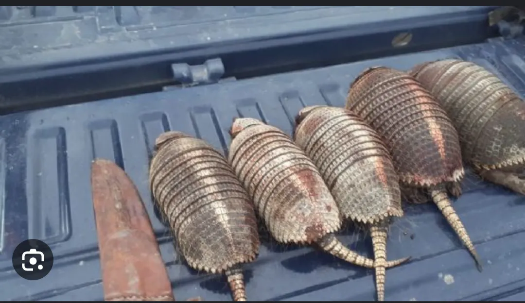 Screenshot_20230626-075804