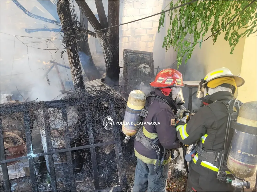 Cria. Segunda- incendio 1