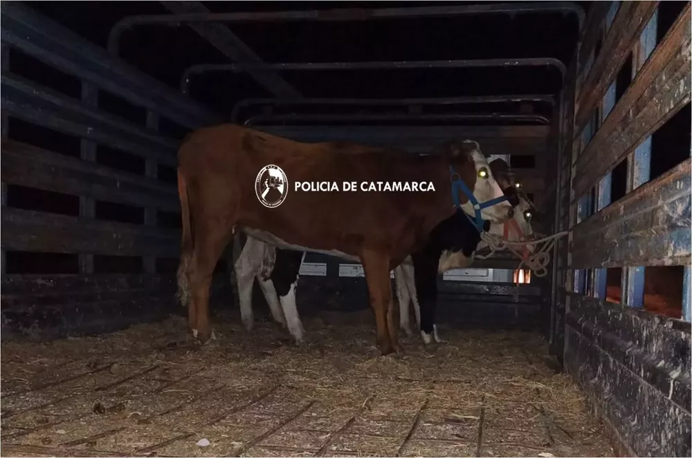 Secuestro animales J.Z.F
