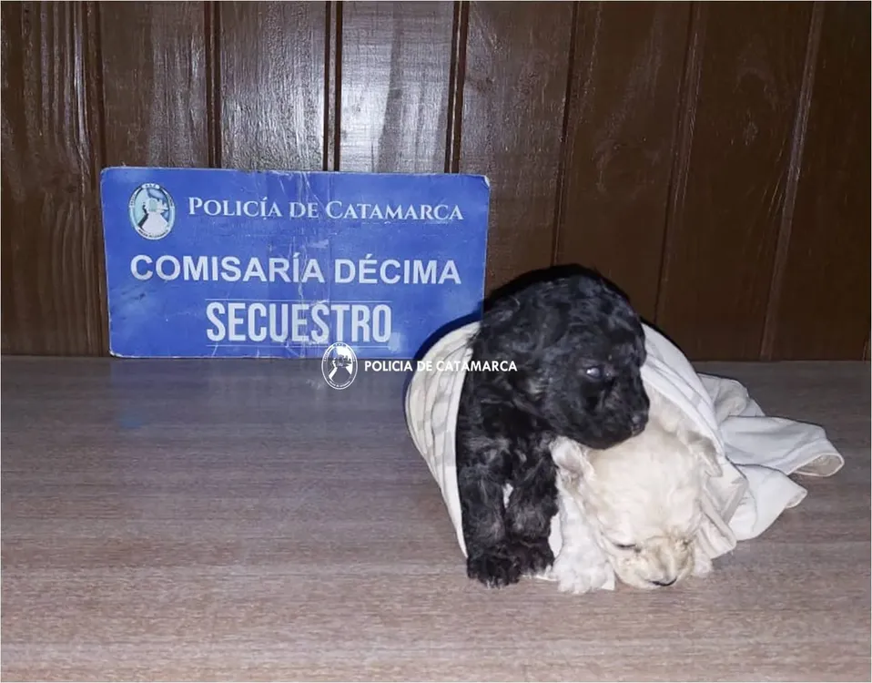 COMISARÍA DÉCIMA-COEM-KAPPA (1)