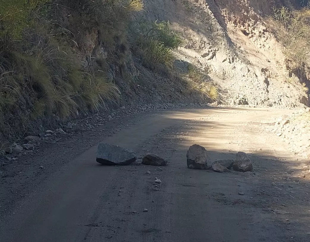 WhatsApp Image 2022-05-20 at 1.04.51 PM (1)