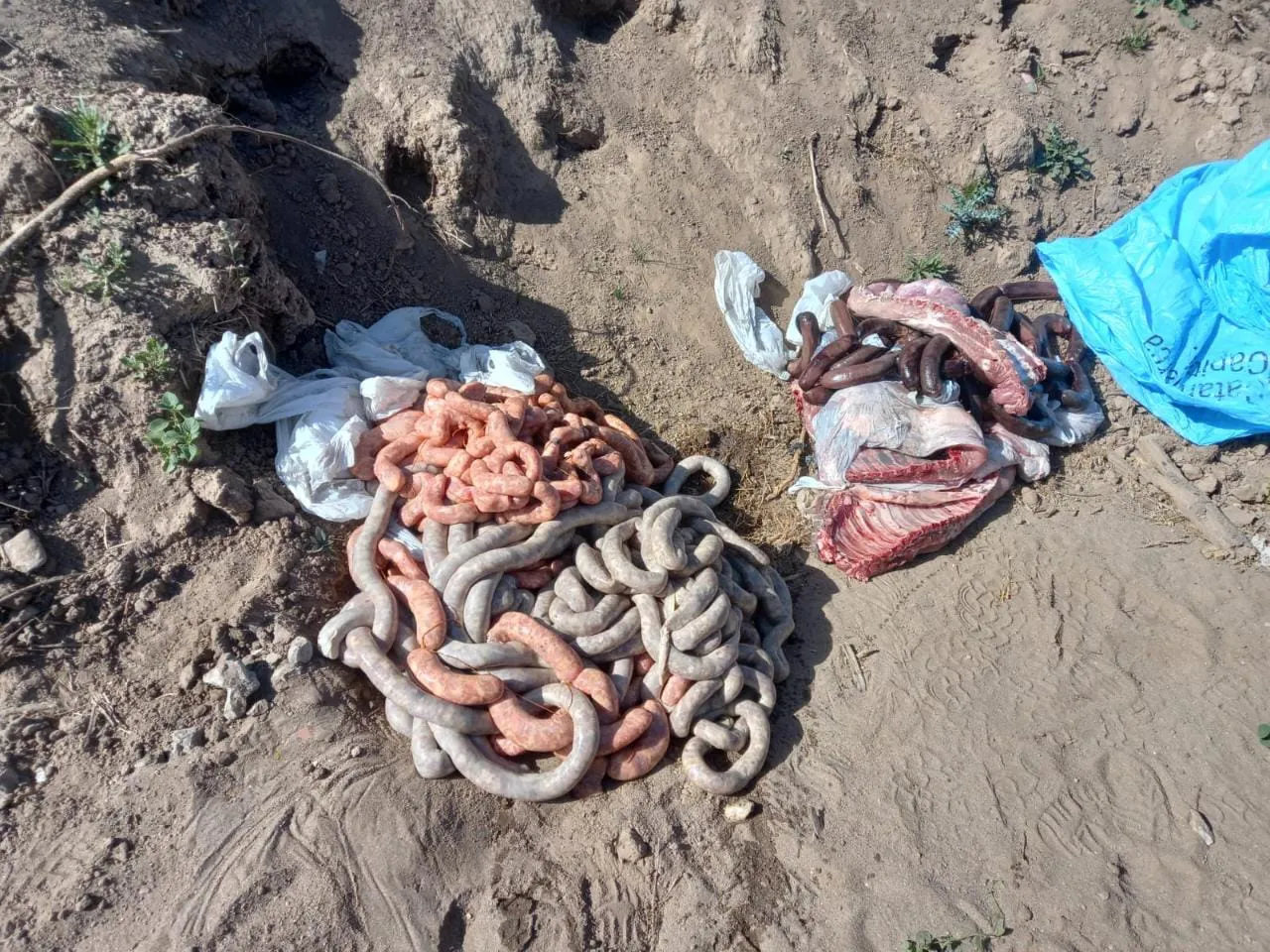 Imagen de WhatsApp 2023-10-07 a las 17.14.42_1ca7d985