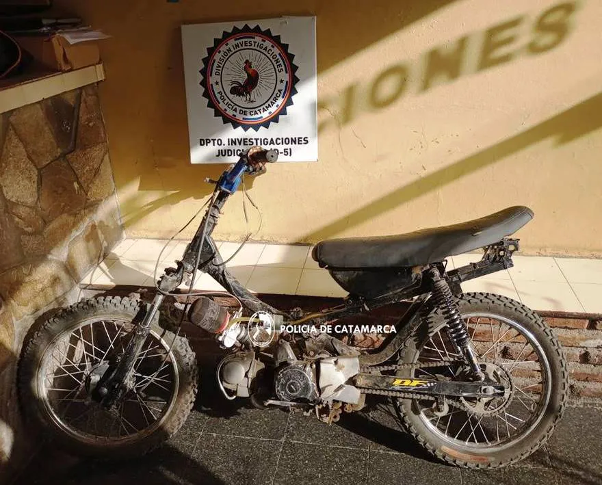 DIV. INVESTIGACIONES