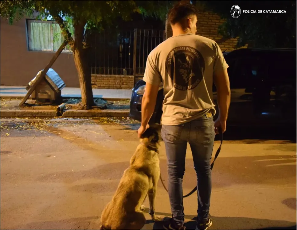 Cuerpo de Operaciones Especiales Motorizadas (COEM-Kappa) y Dirección Drogas