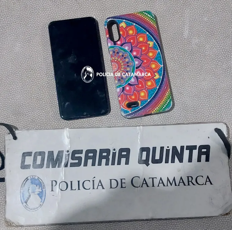 CELULAR Y CARCASA