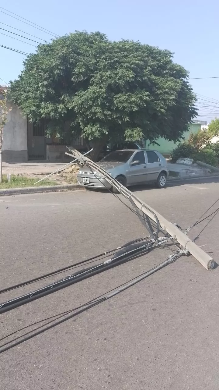 Imagen de WhatsApp 2022-11-18 a las 18.14.39