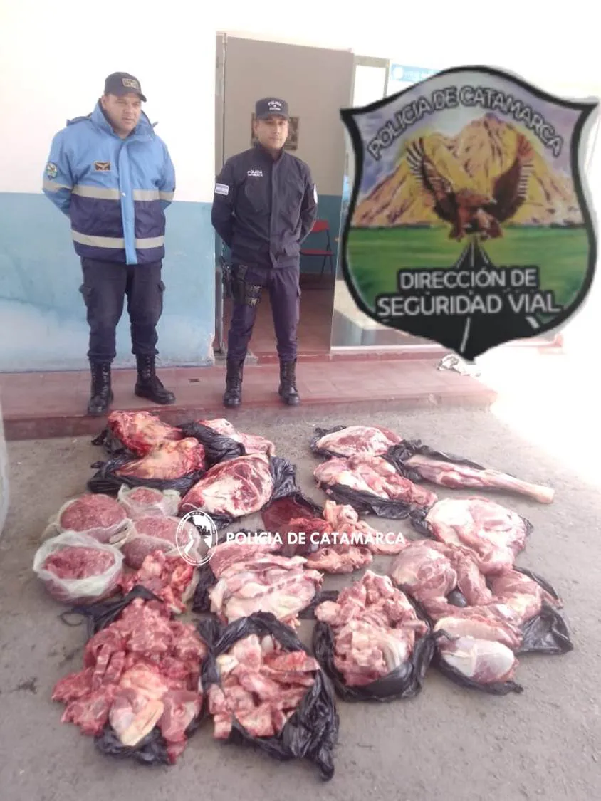 Decomisan carne vacuna en el Puesto Caminero de Ambato