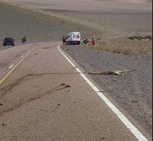 Screenshot_20240220_222041_WhatsApp~2