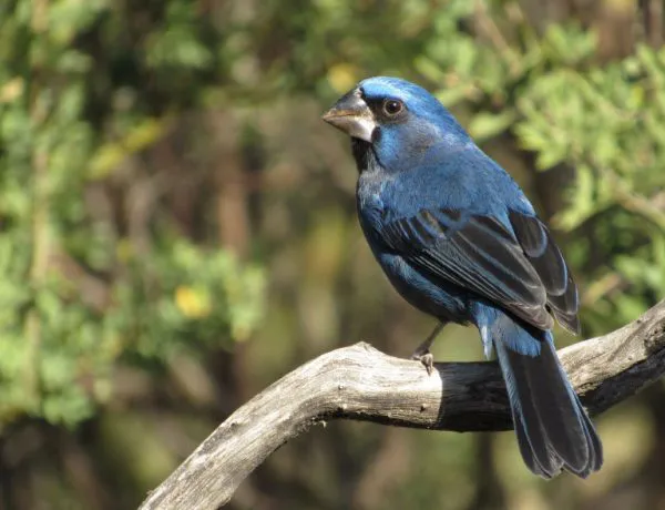 IMG_1634-min-768x589-1-e1710644888397