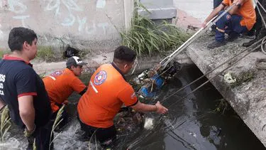 c49cba5d-8fac-4cdd-a070-71798c5ee428jpg