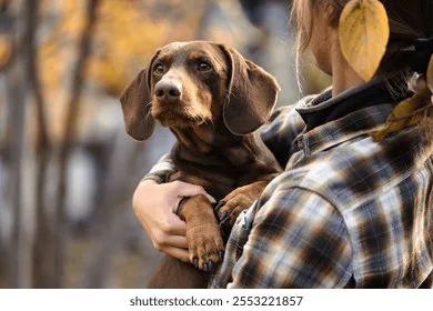 animalhuman-friendship-woman-holding-chocolate-260nw-2553221857