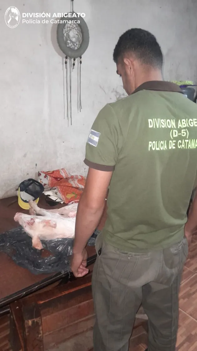 600170440_1292836132879110_1018033844991508315_n