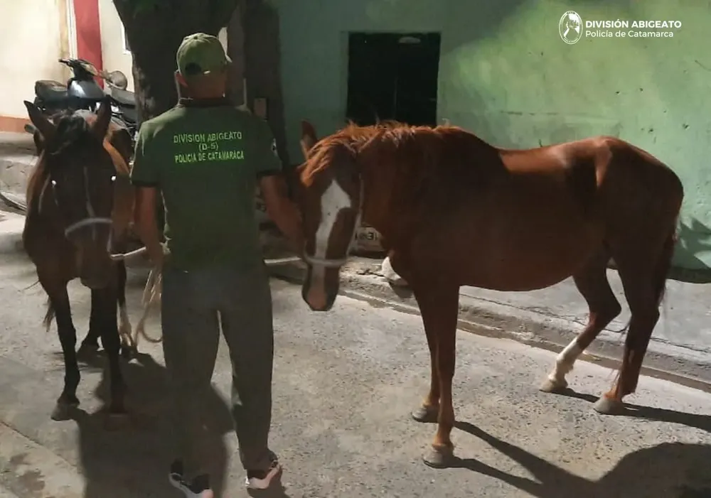 FB_IMG_1767619483497