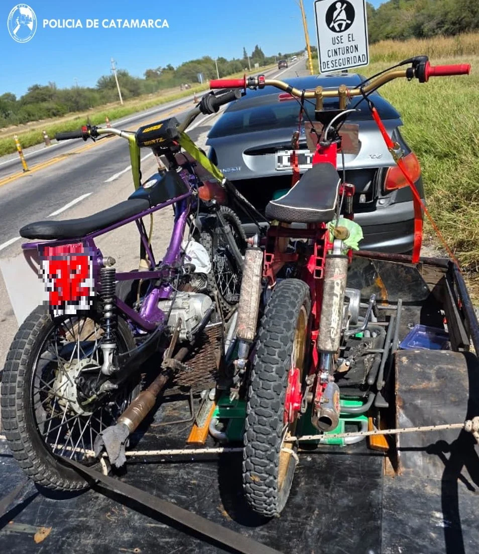 Dirección Seguridad Vial - Sustracción de Automotores
