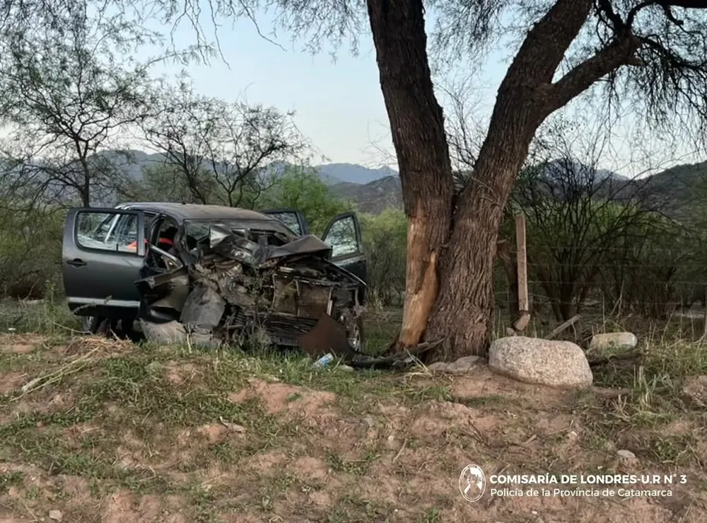 FB_IMG_1766328660442