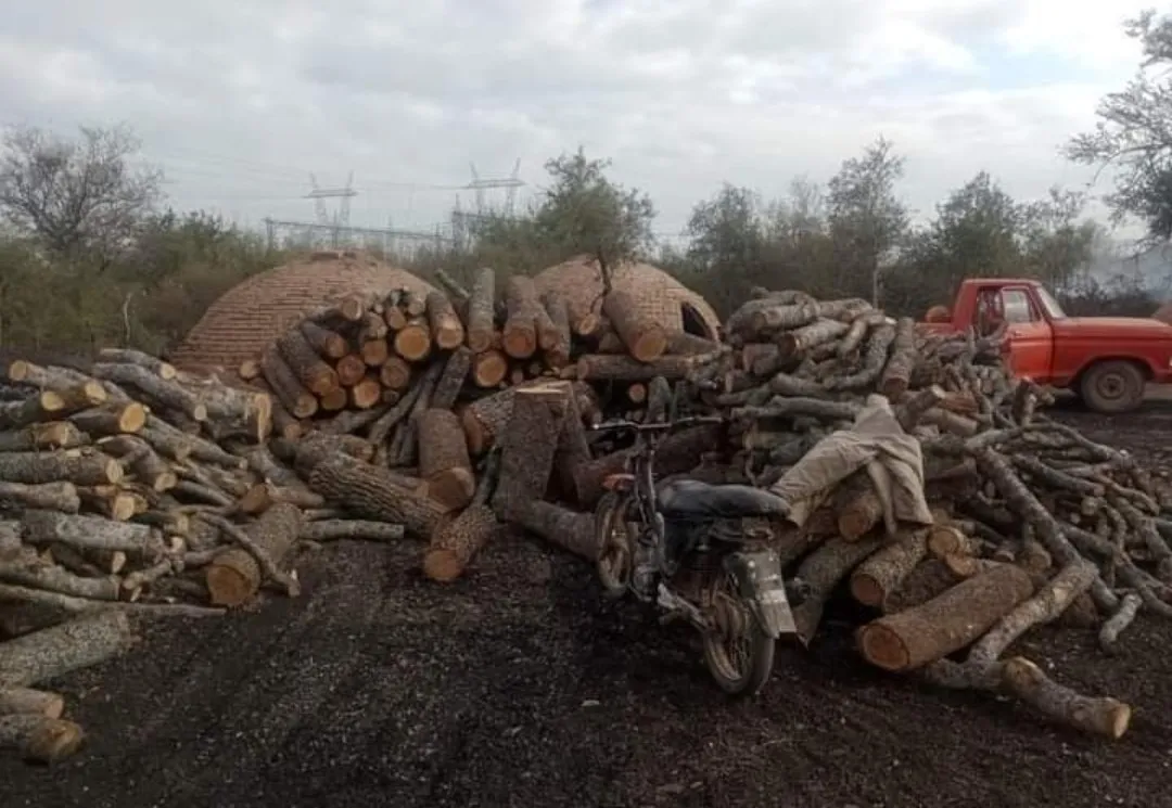 Screenshot_20240625_082640_WhatsApp~2