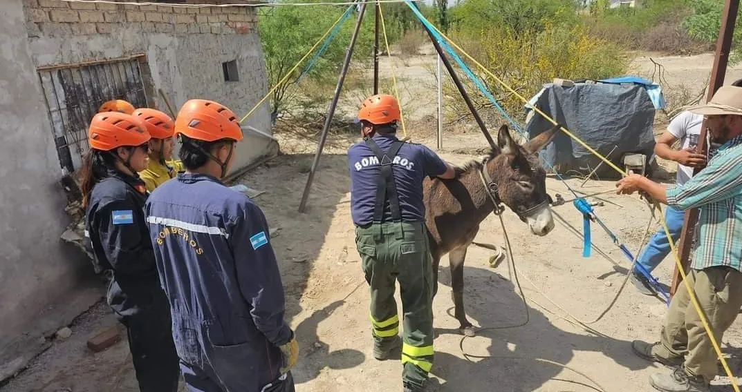 Screenshot_20241117_180840_Facebook~2