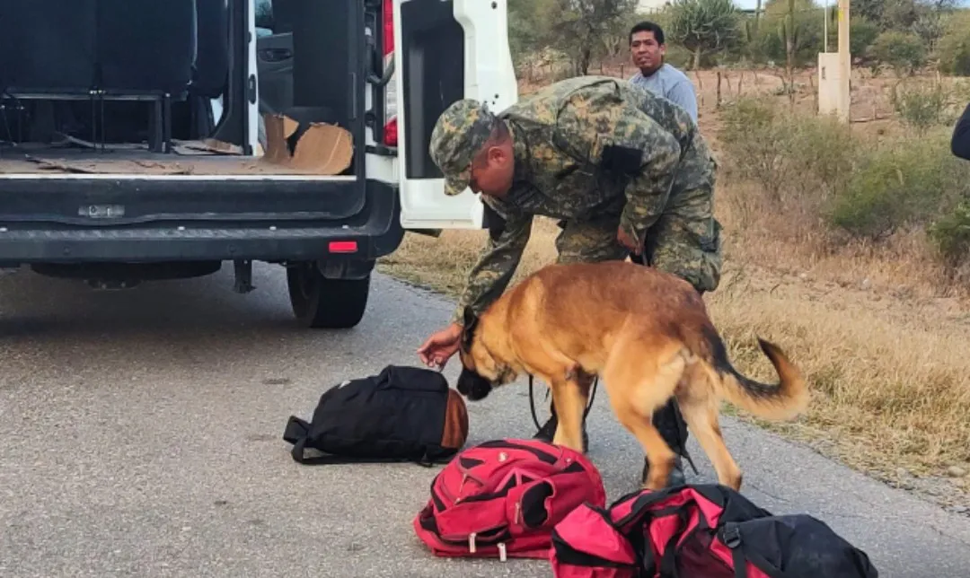 Screenshot_20240629_102816_WhatsApp~2