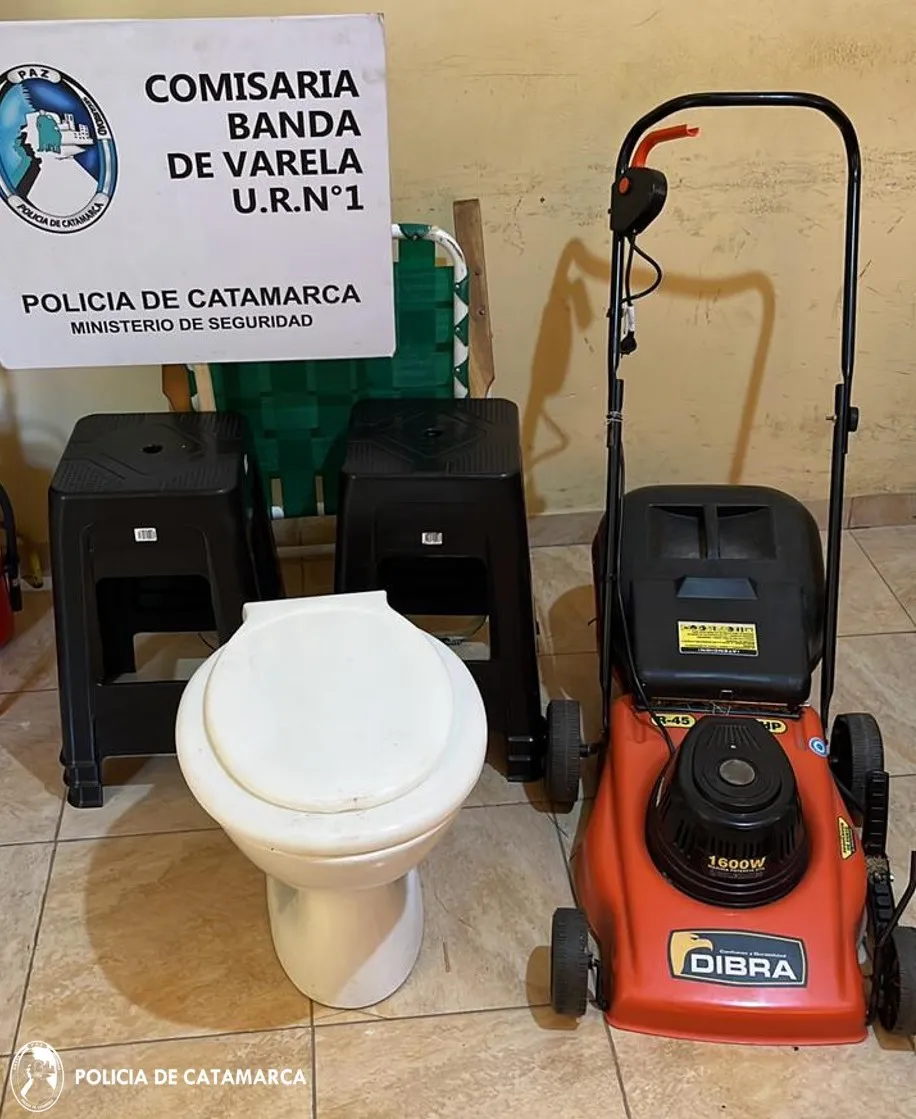 Cria. Décima Segunda