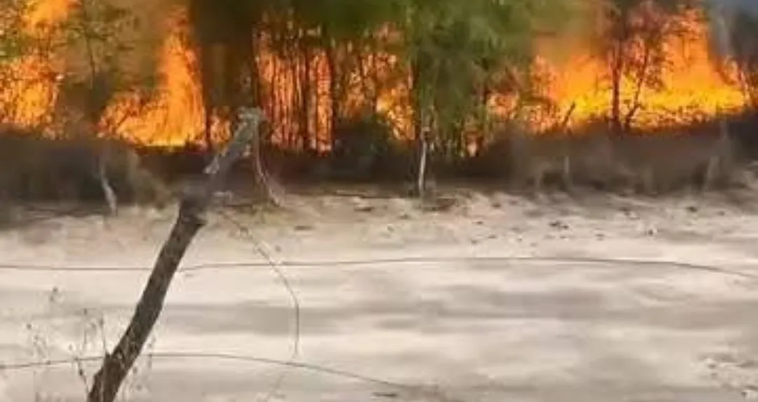 Screenshot_20250928_183034_Facebook