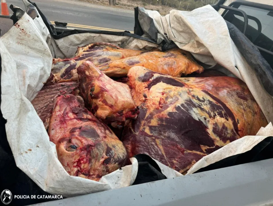 SECUESTRO PUESTO CAMINERO (3)